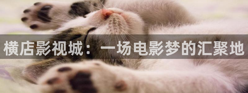 yy4480理论片在线