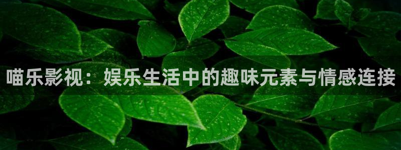 yy4480免费影视