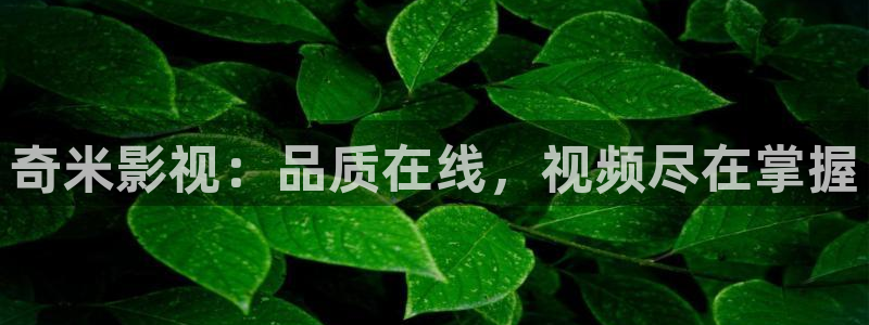 ,yy4480