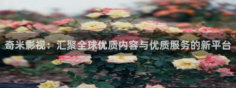 韩国yy4480