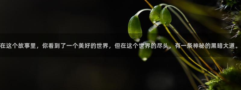 yy4480理论片